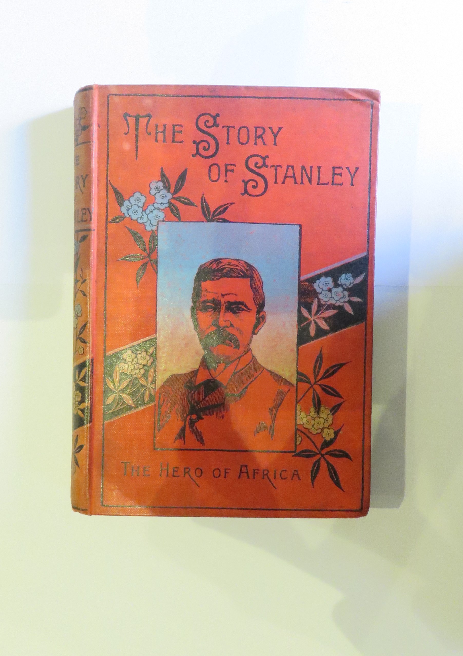 The Story of Stanley: The Hero of Africa