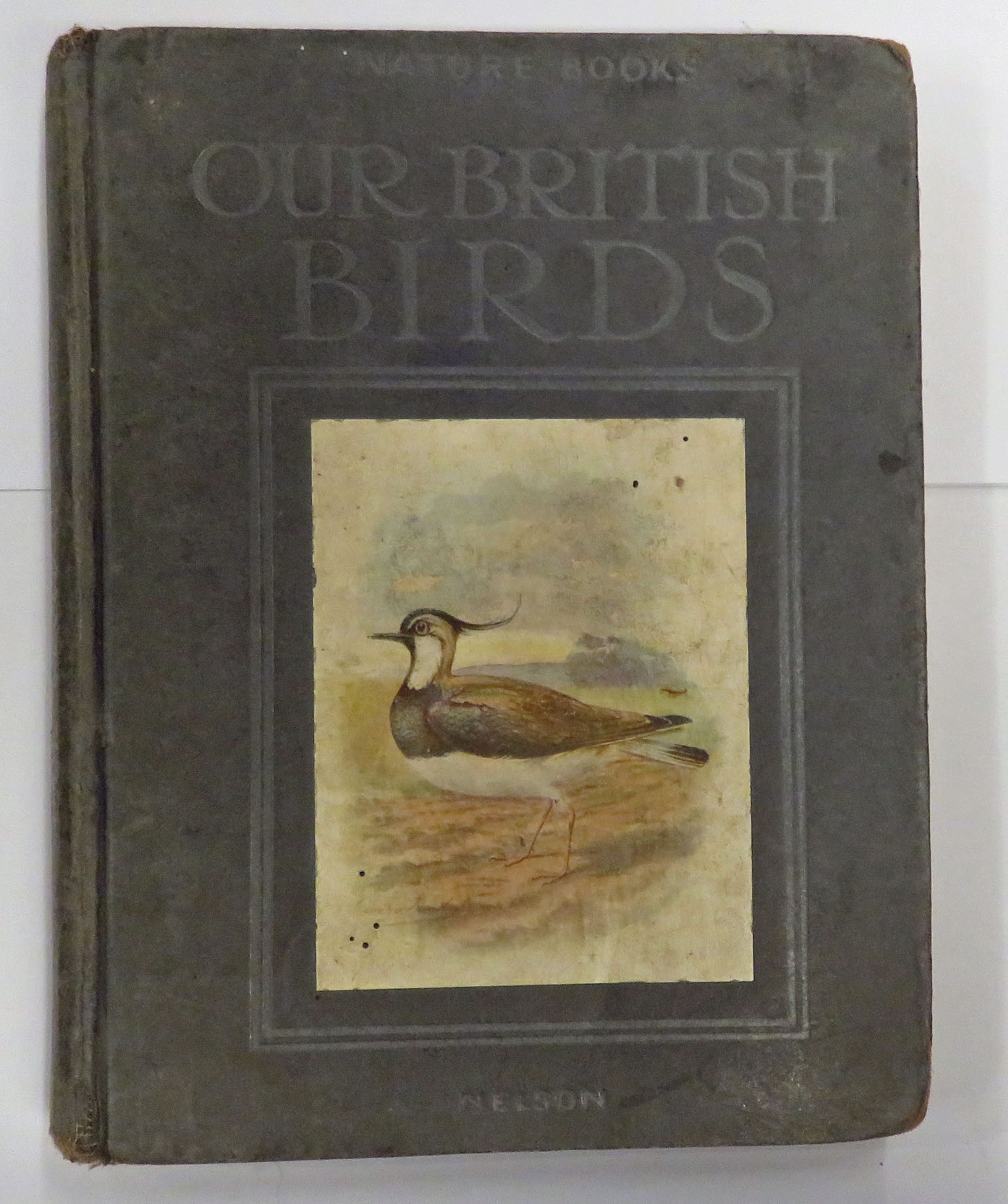 Our British Birds 