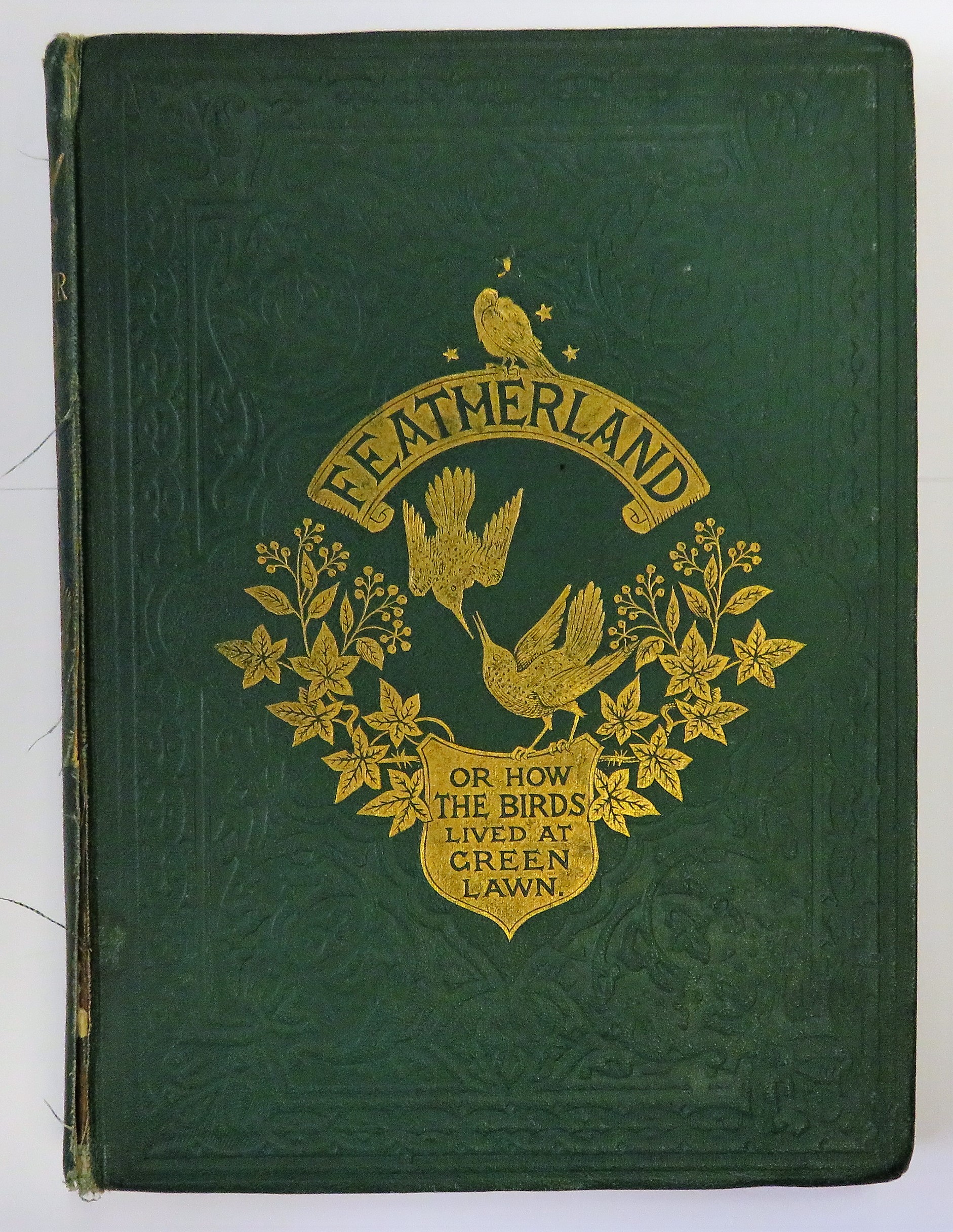 Featherland Or How The Birds Lived At Greenlawn 