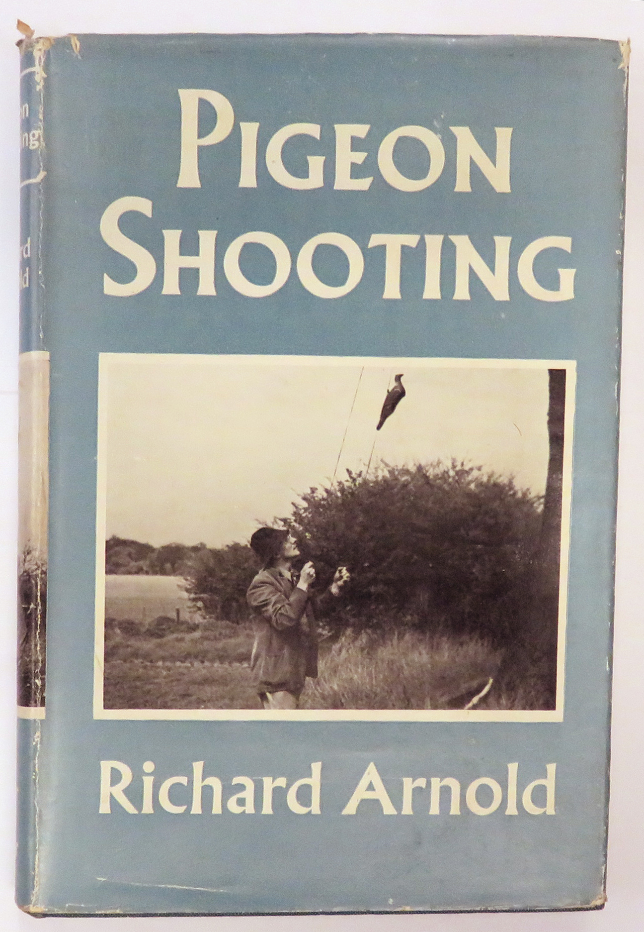 Pigeon Shooting 