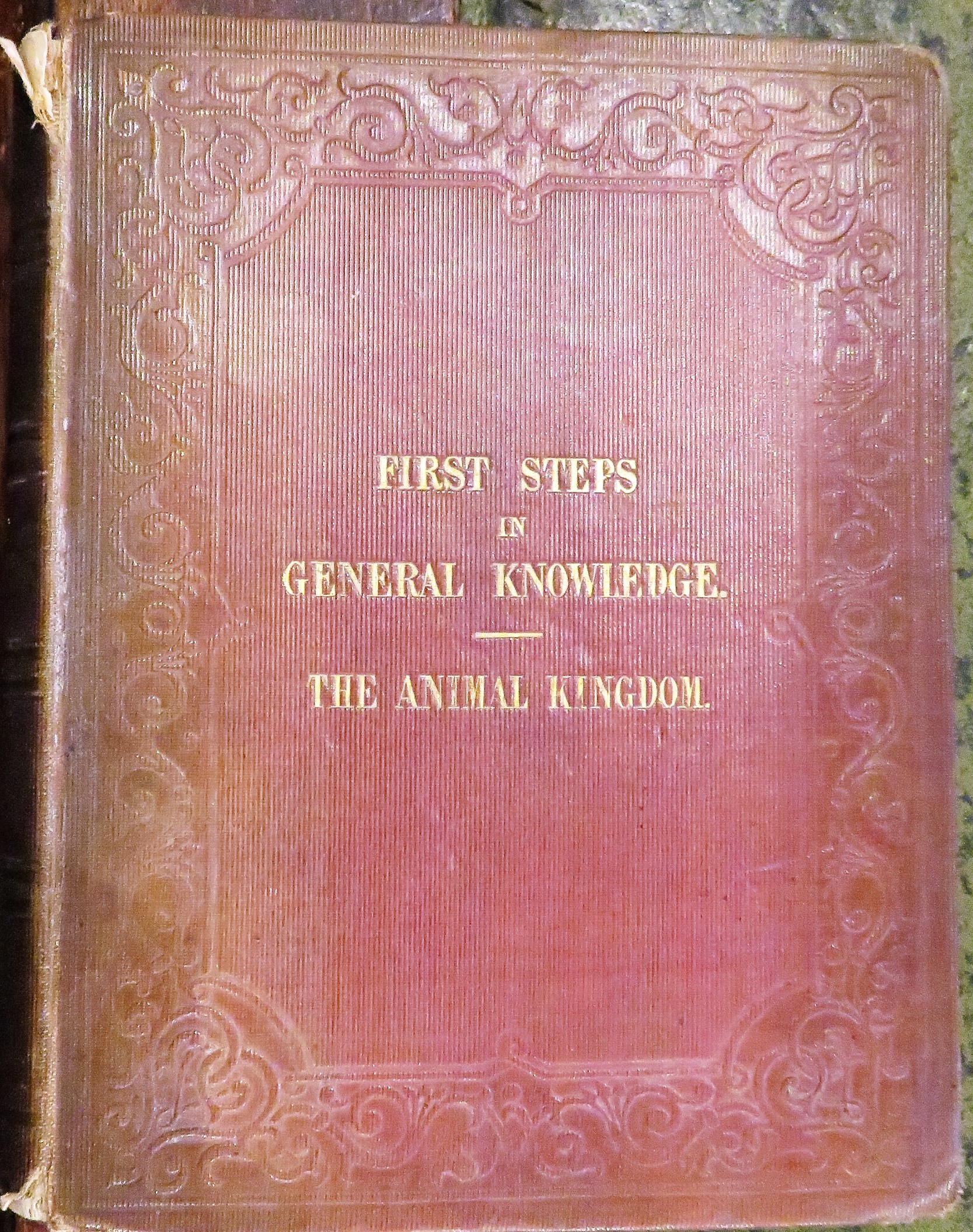 First Steps in General Knowledge Part III The Animal Kingdom