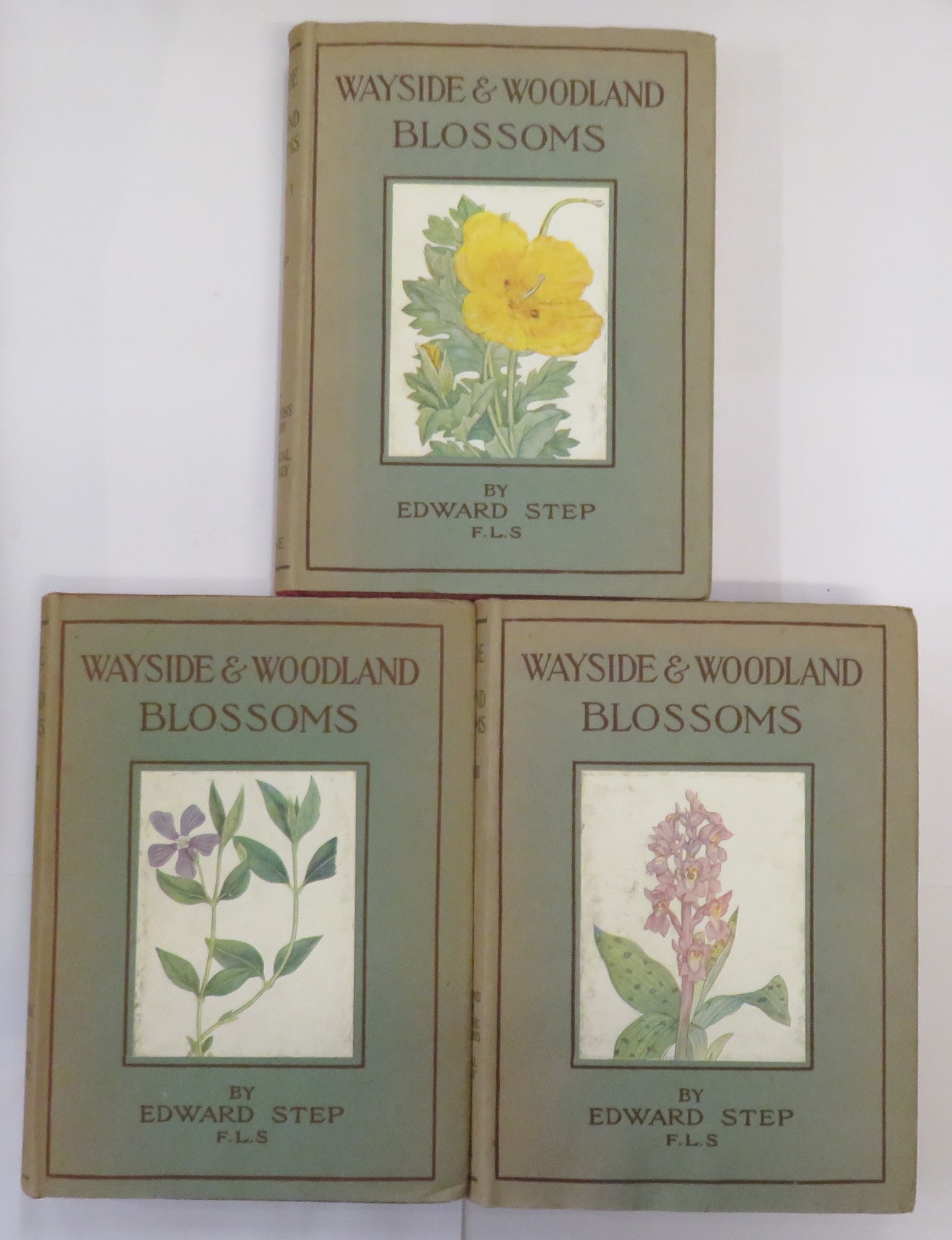 Wayside and Woodland Blossoms: In Three Volumes
