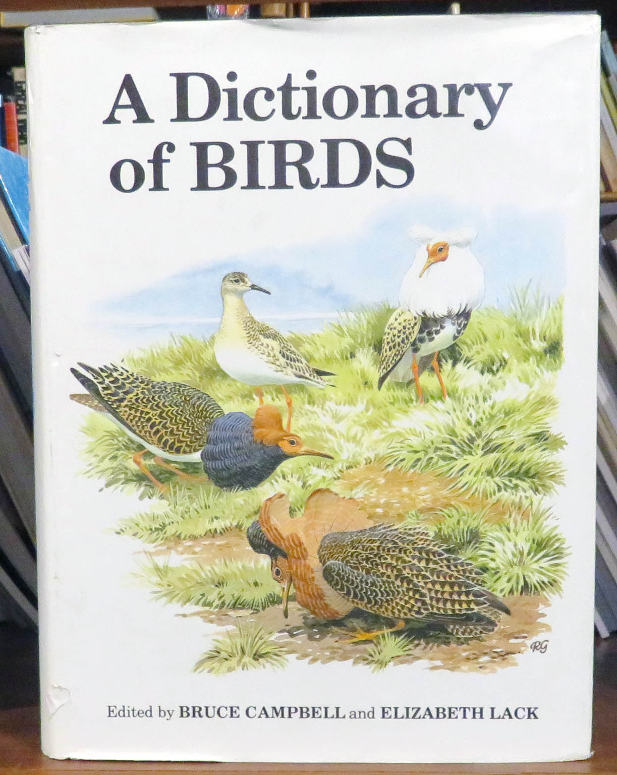 A Dictionary Of Birds 