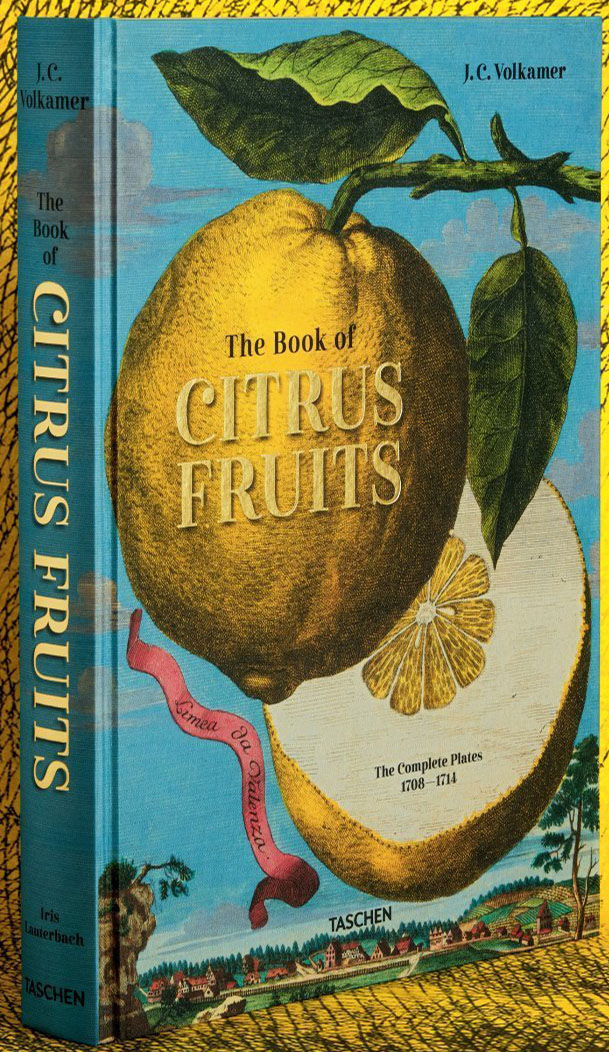 J.C.Volkamer The Book Of Citrus Fruits 