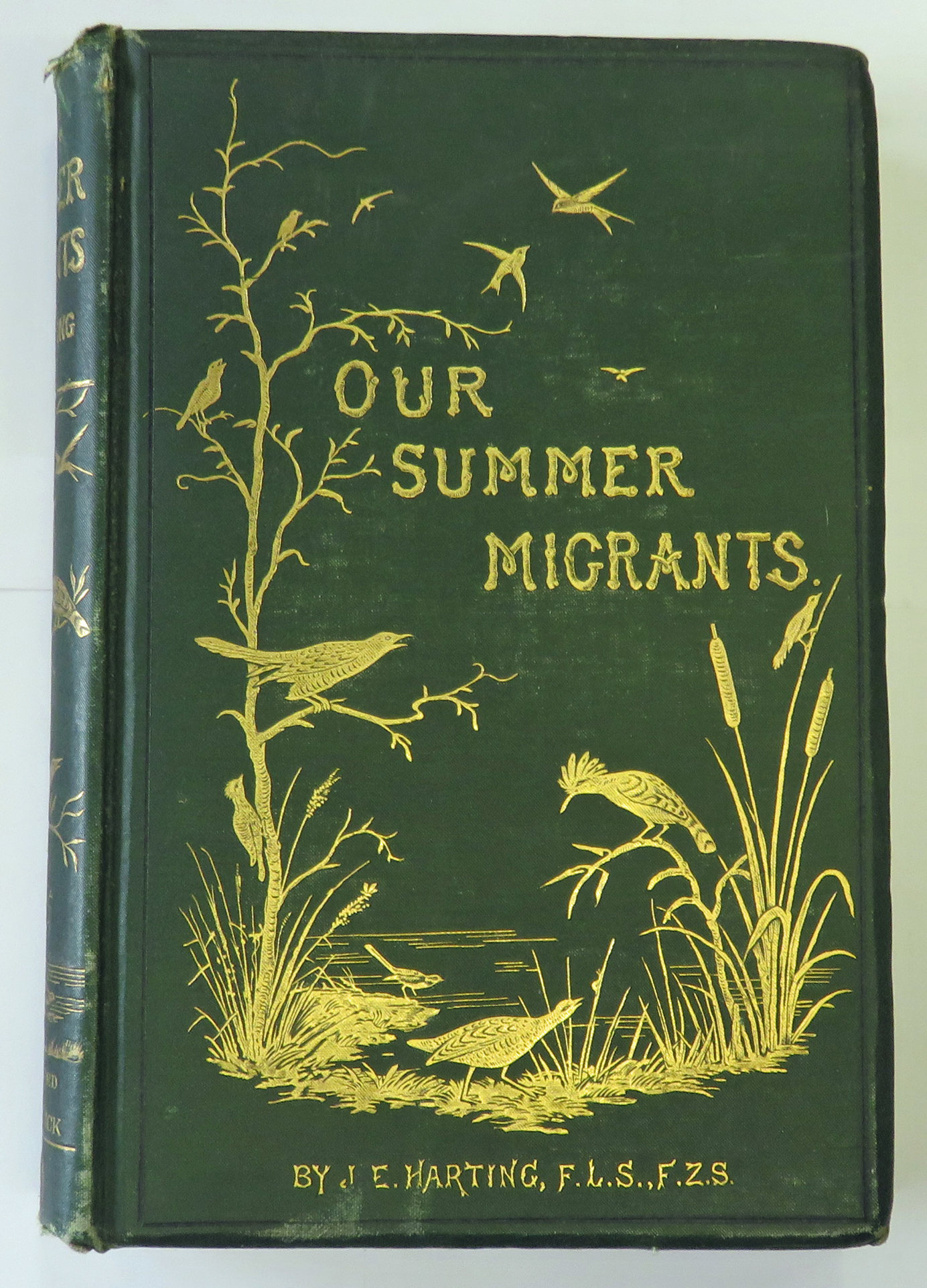 Our Summer Migrants An Account Of The Migratory Birds Which Pass The Summer In The British Islands