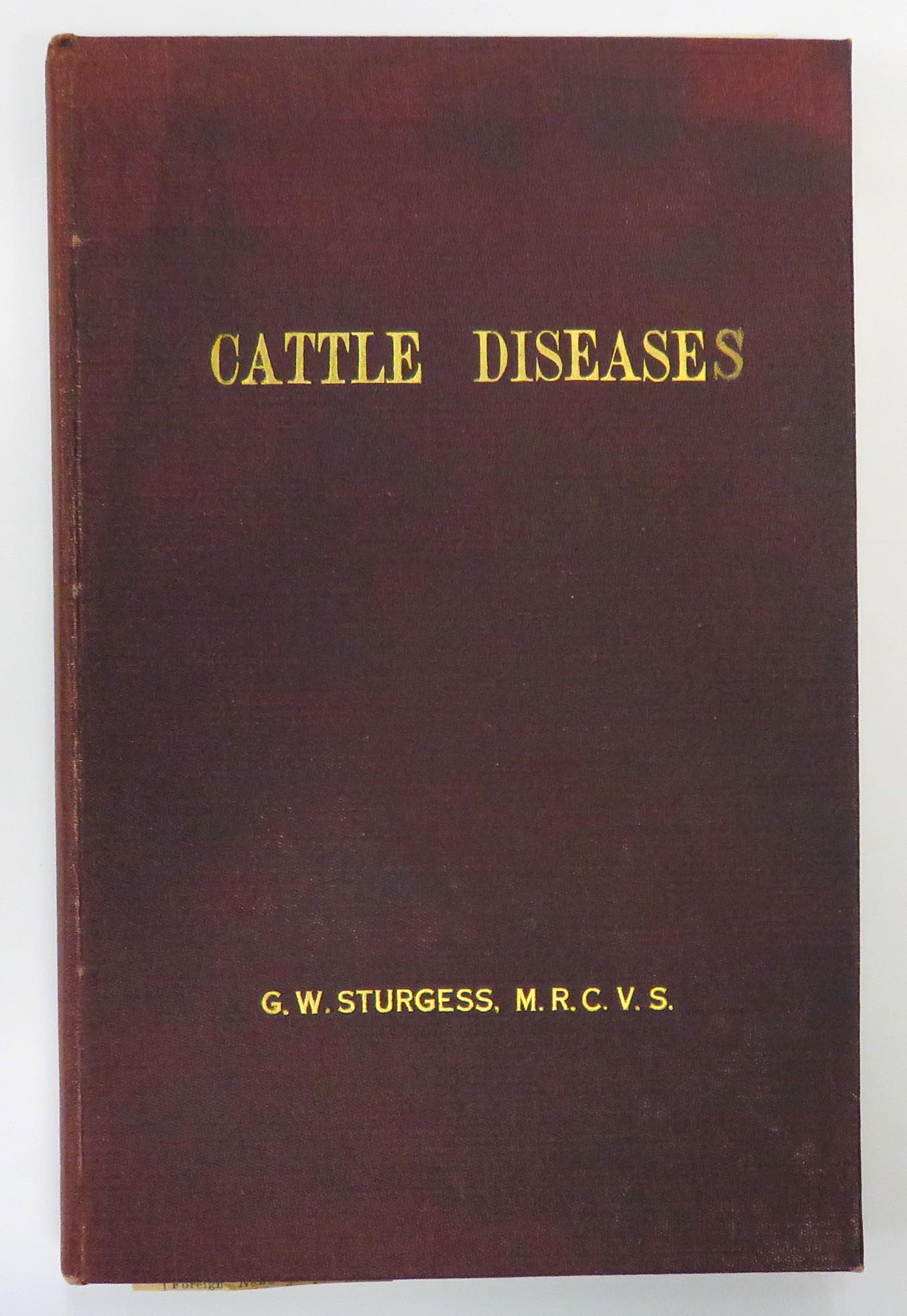 Cattle Diseases 