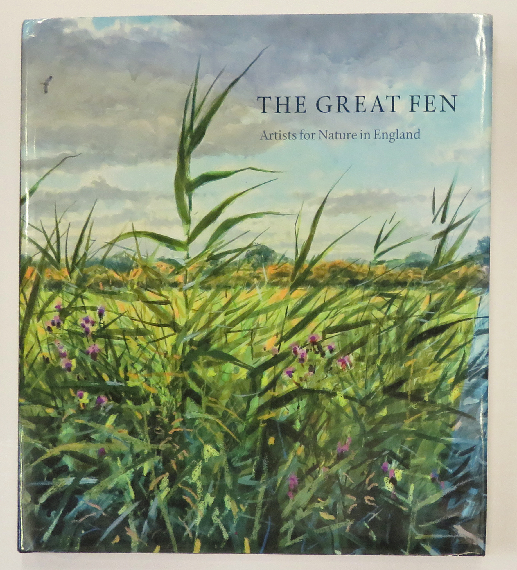 The Great Fen Artists for Nature in England 