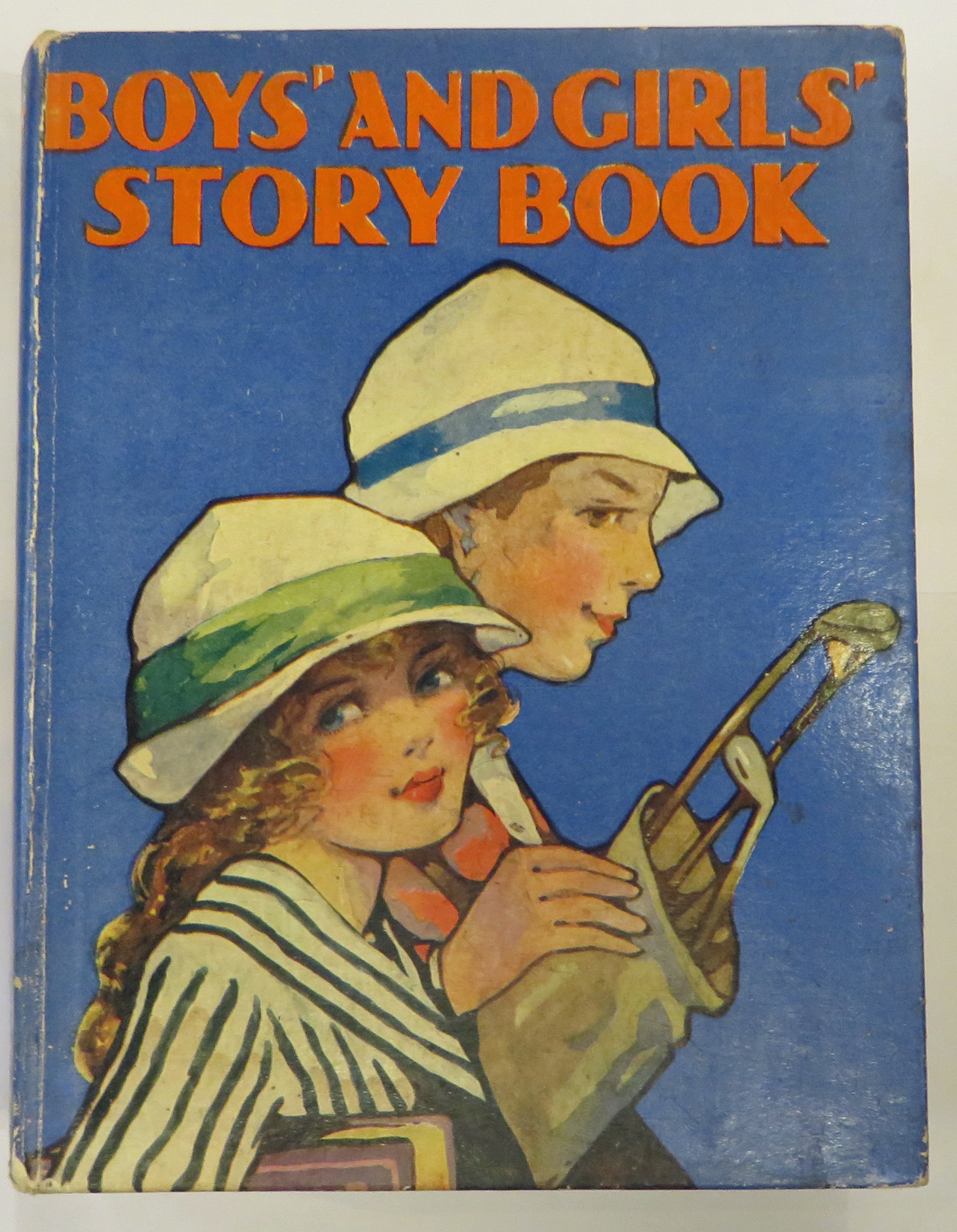 The Boys' And Girls' Story Book