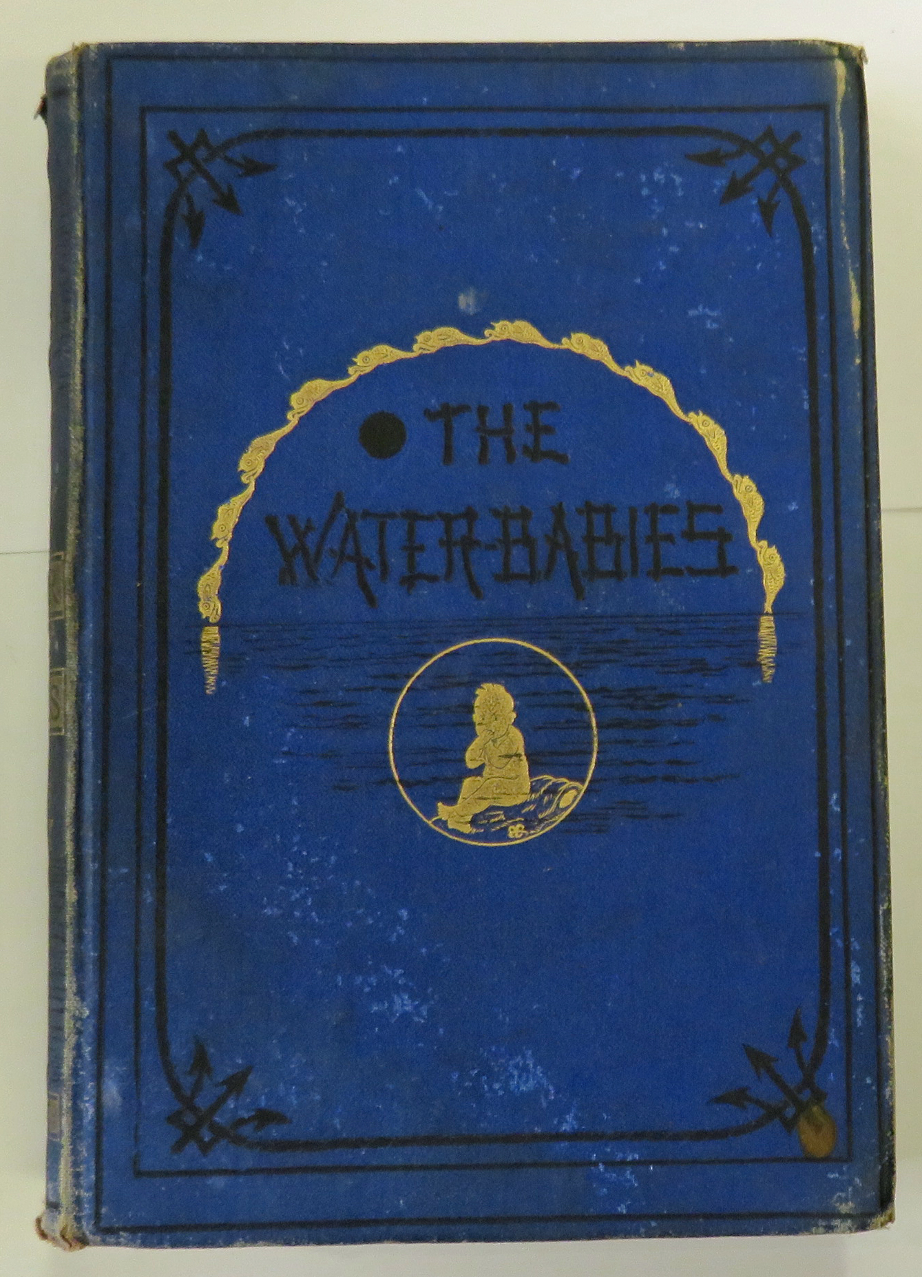 The Water-Babies A Fairy Tale For A Land Baby 