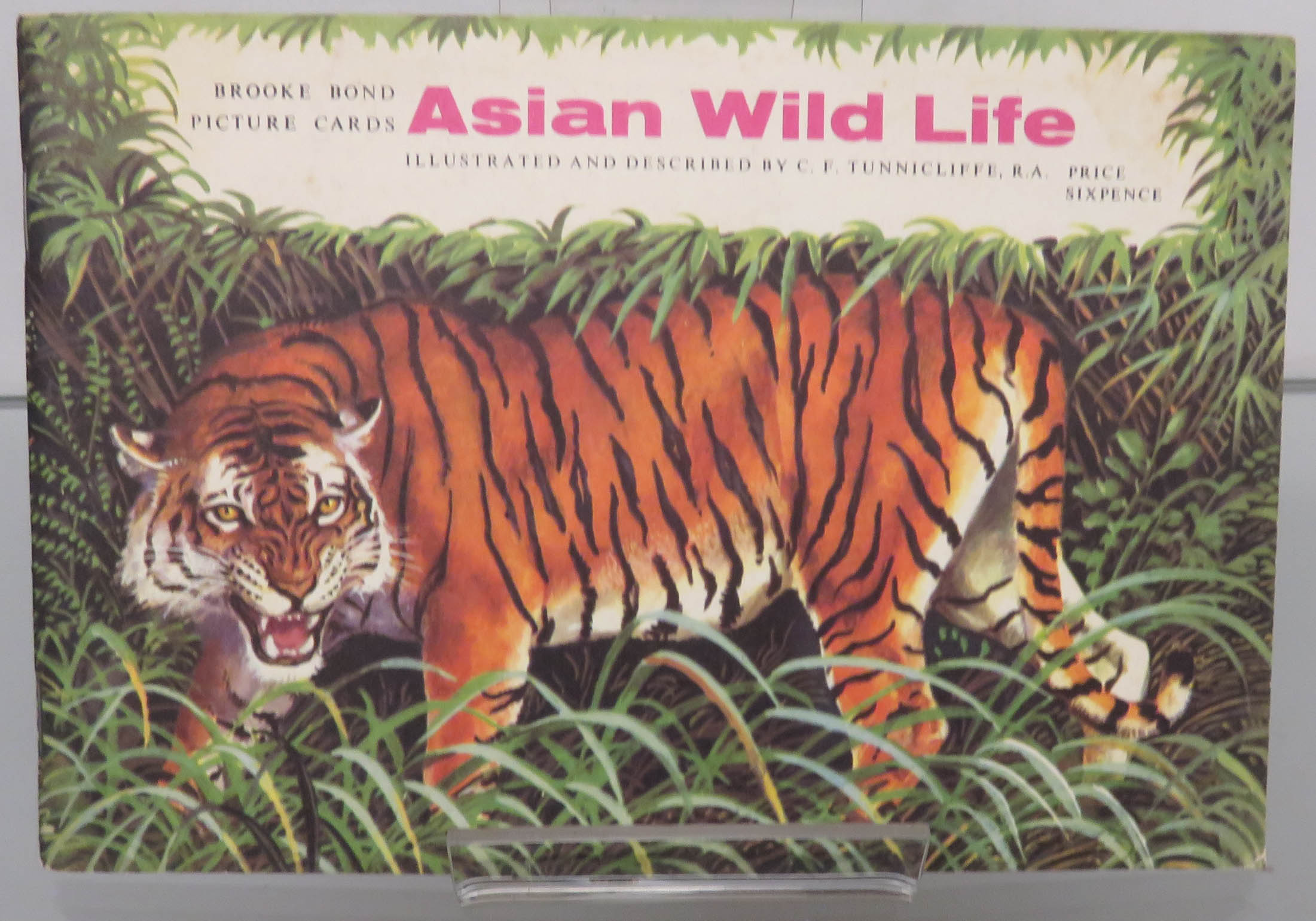Asian Wild Life