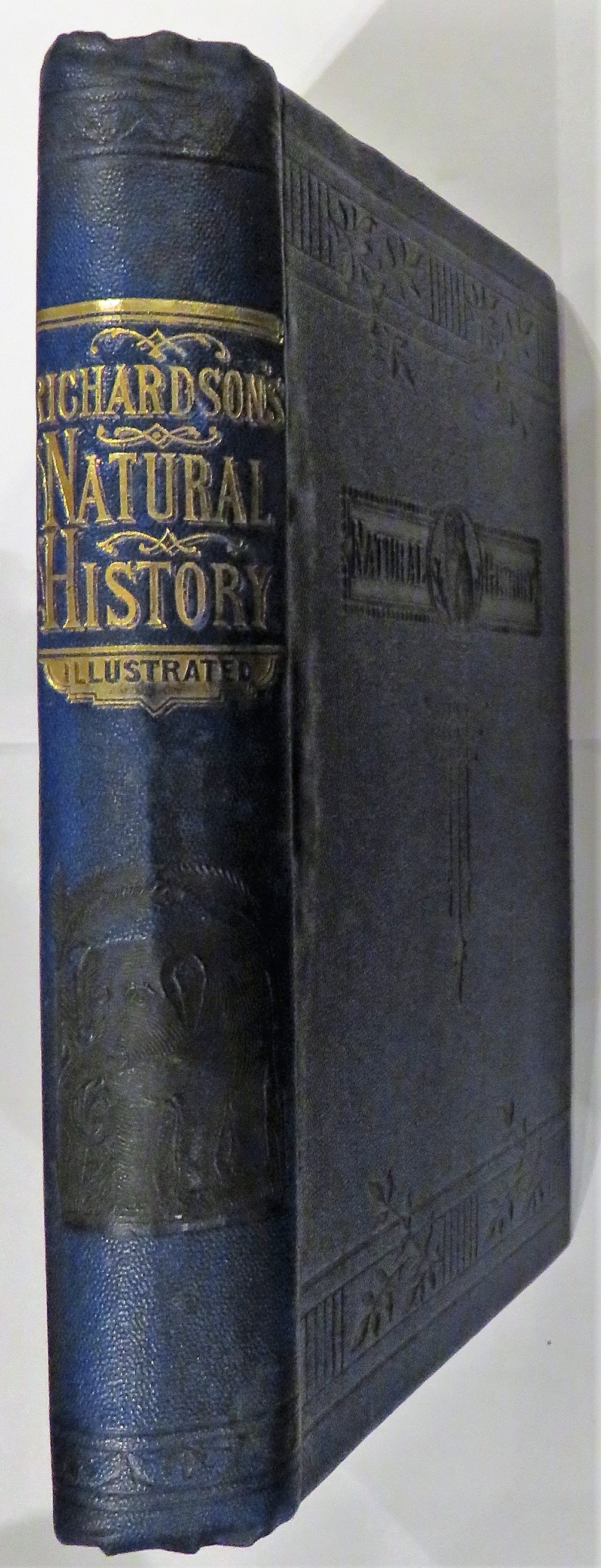 Richardson's Natural History; An Introduction To Animated Nature