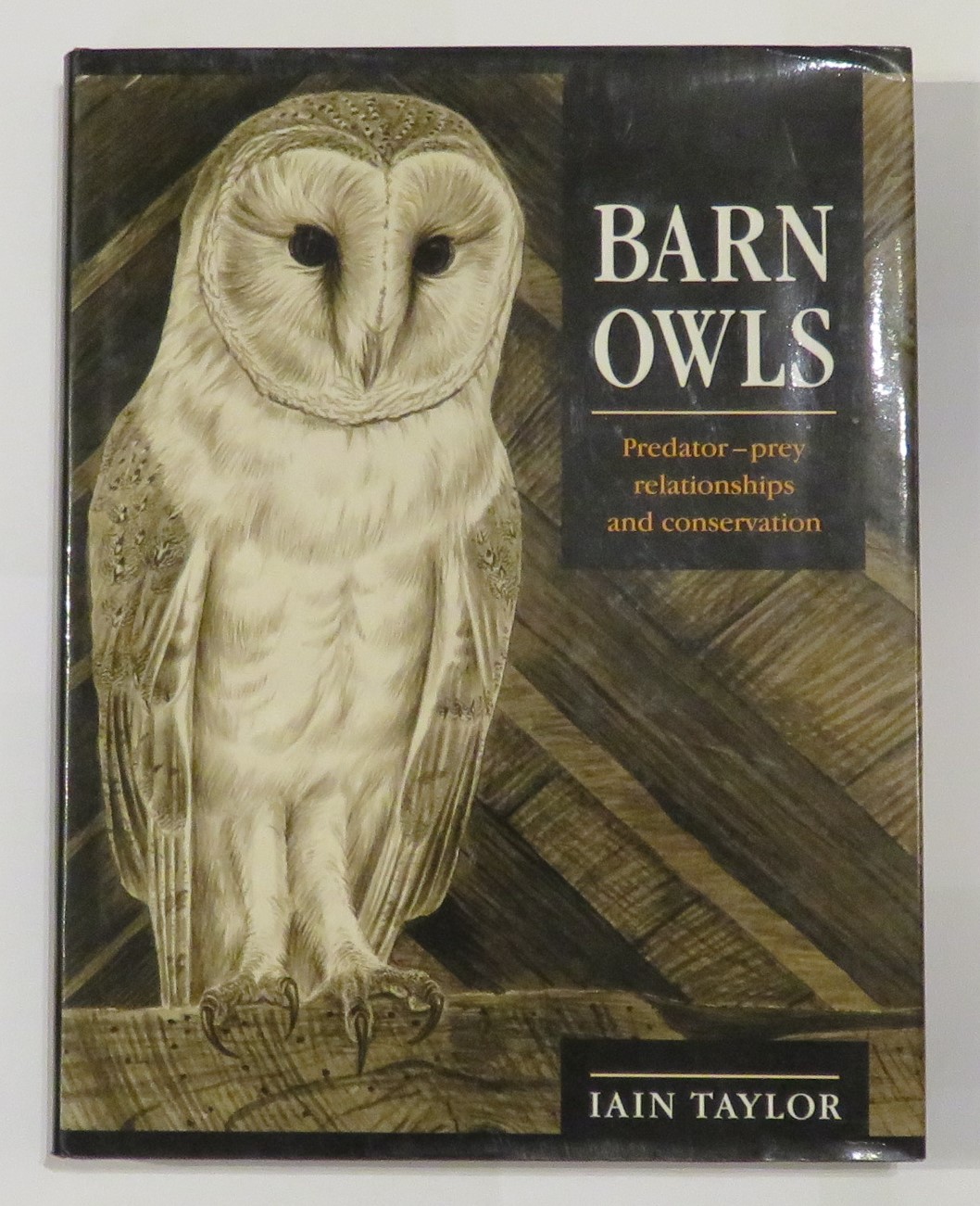 Barn Owls: predator-prey relationships and conservation