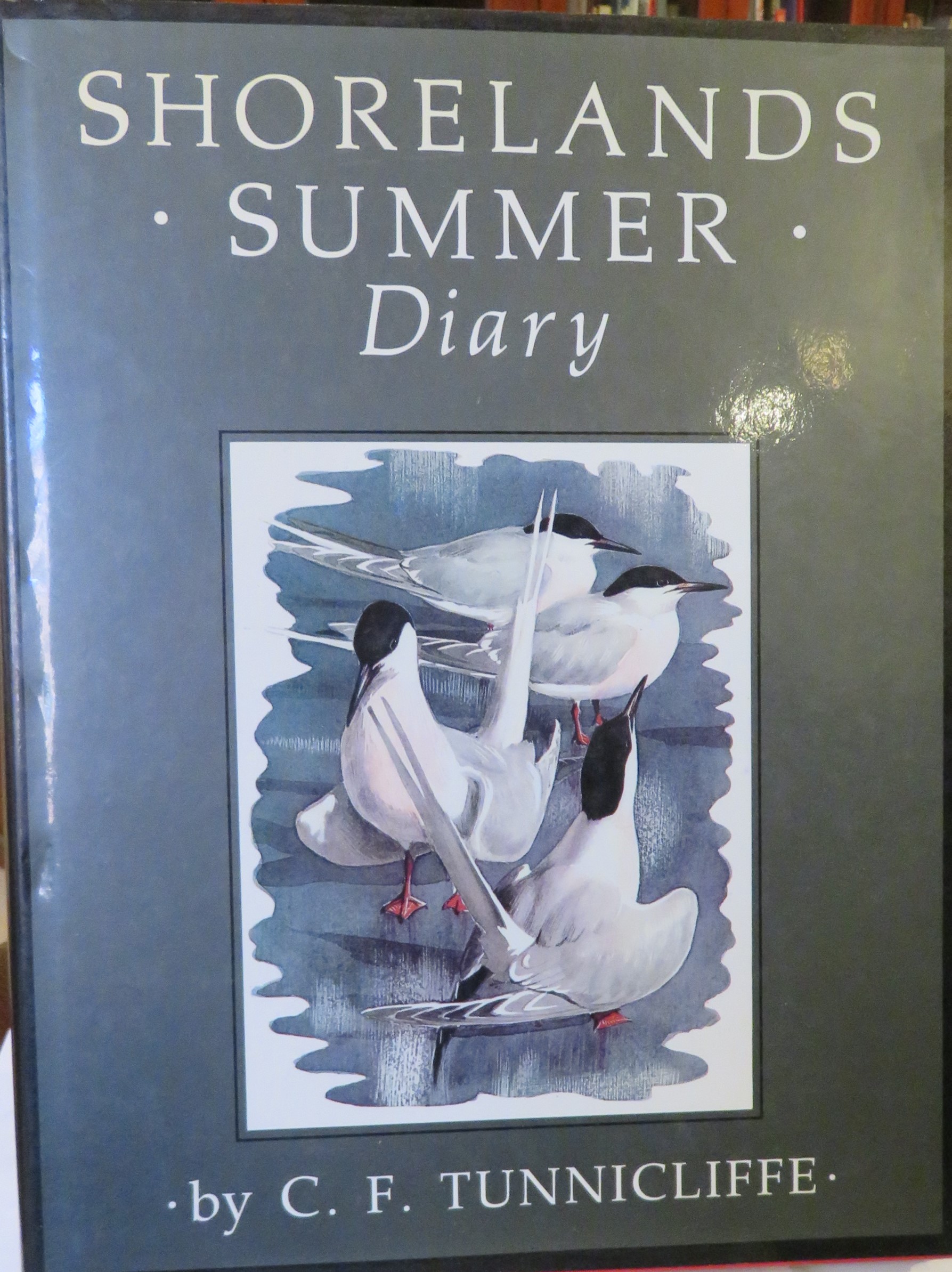 Shorelands Summer Diary
