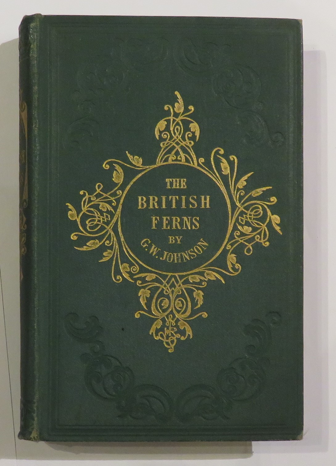 The British Ferns
