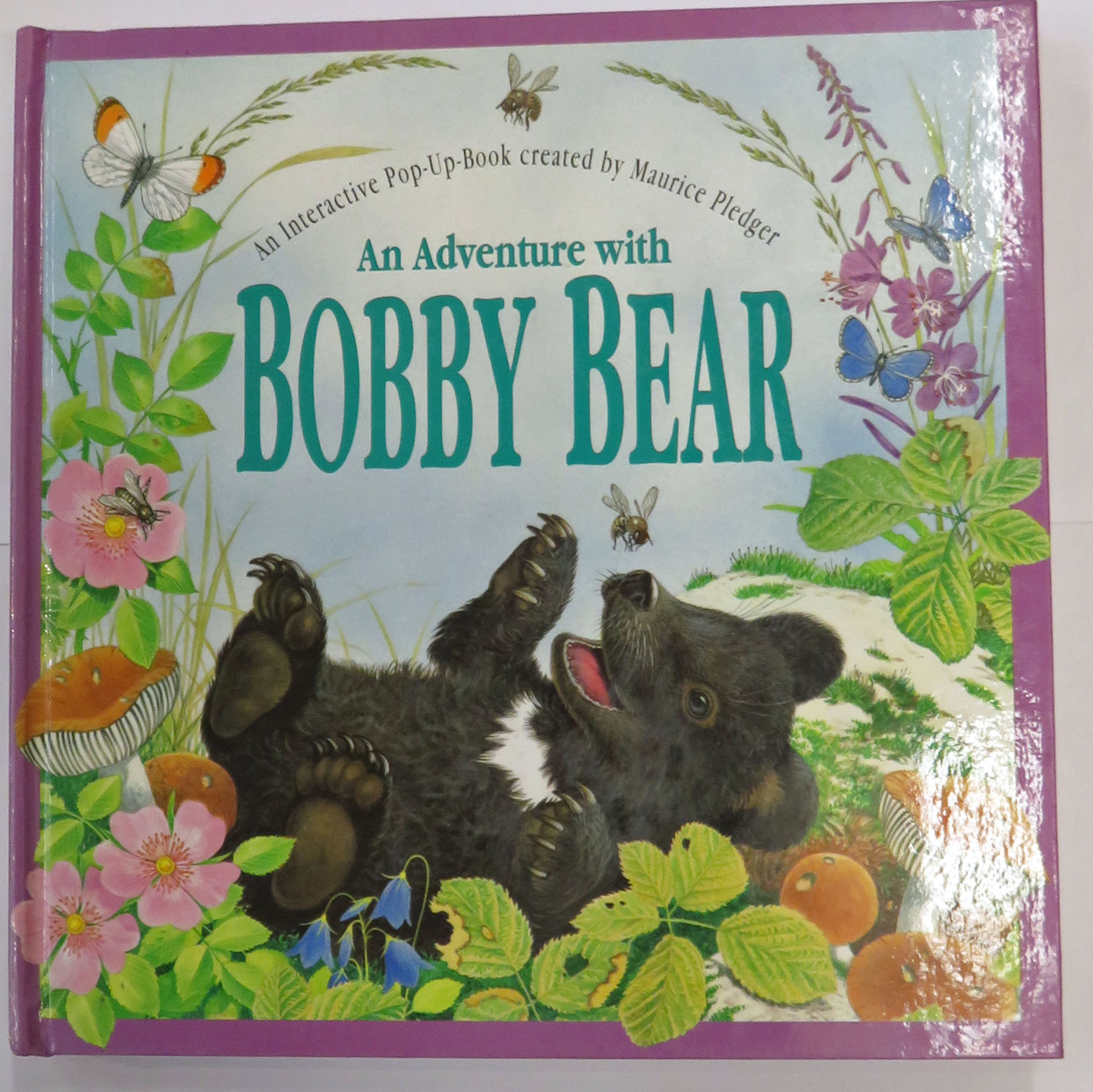 An Adventure with Bobby Bear
