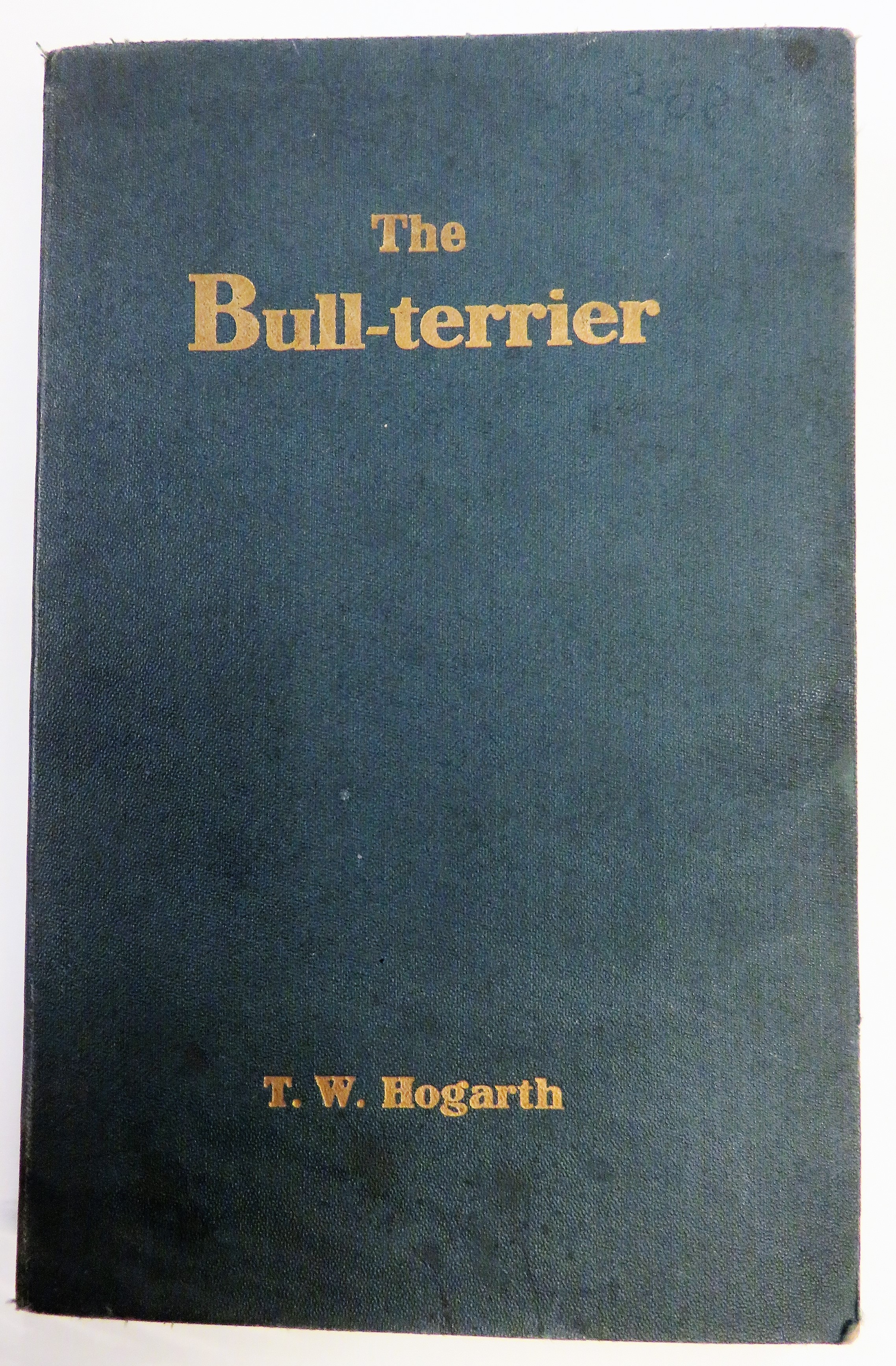 The Bull Terrierr