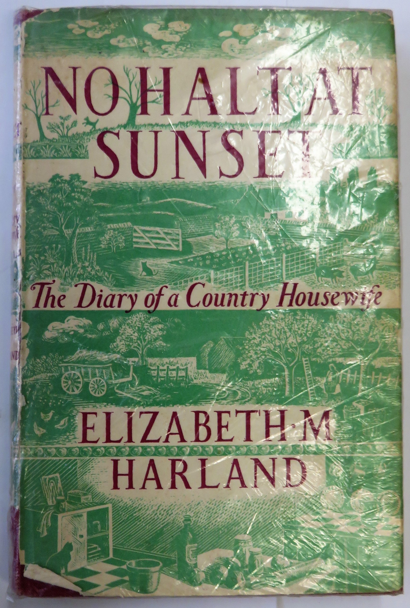 No Halt at Sunset: The Diary of a Country Housewife
