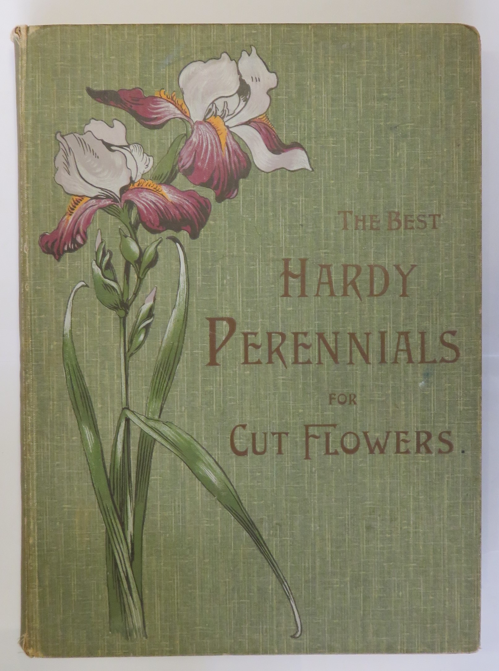 The Best Hardy Perennials For Producing An Abundant Supply of Cut Flowers