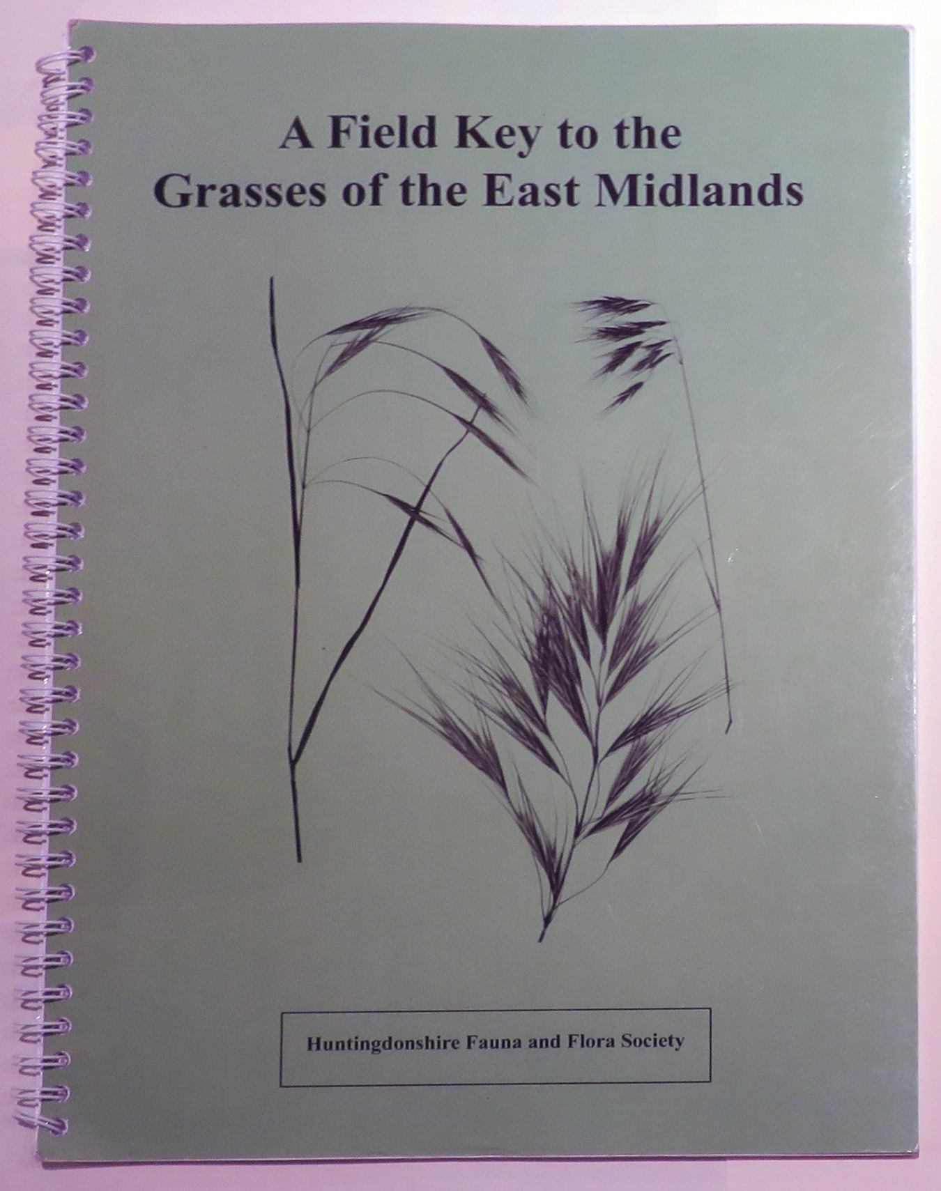 A Field Key to the Grasses of the East Midlands 