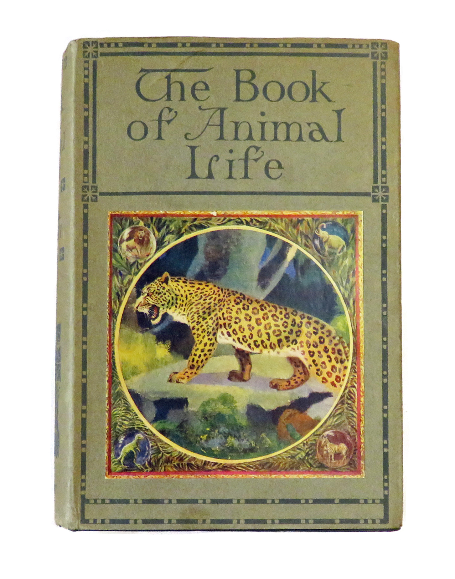 The Book of Animal Life