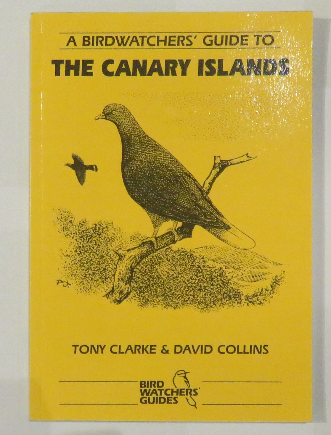A Birdwatchers' Guide to The Canary Islands