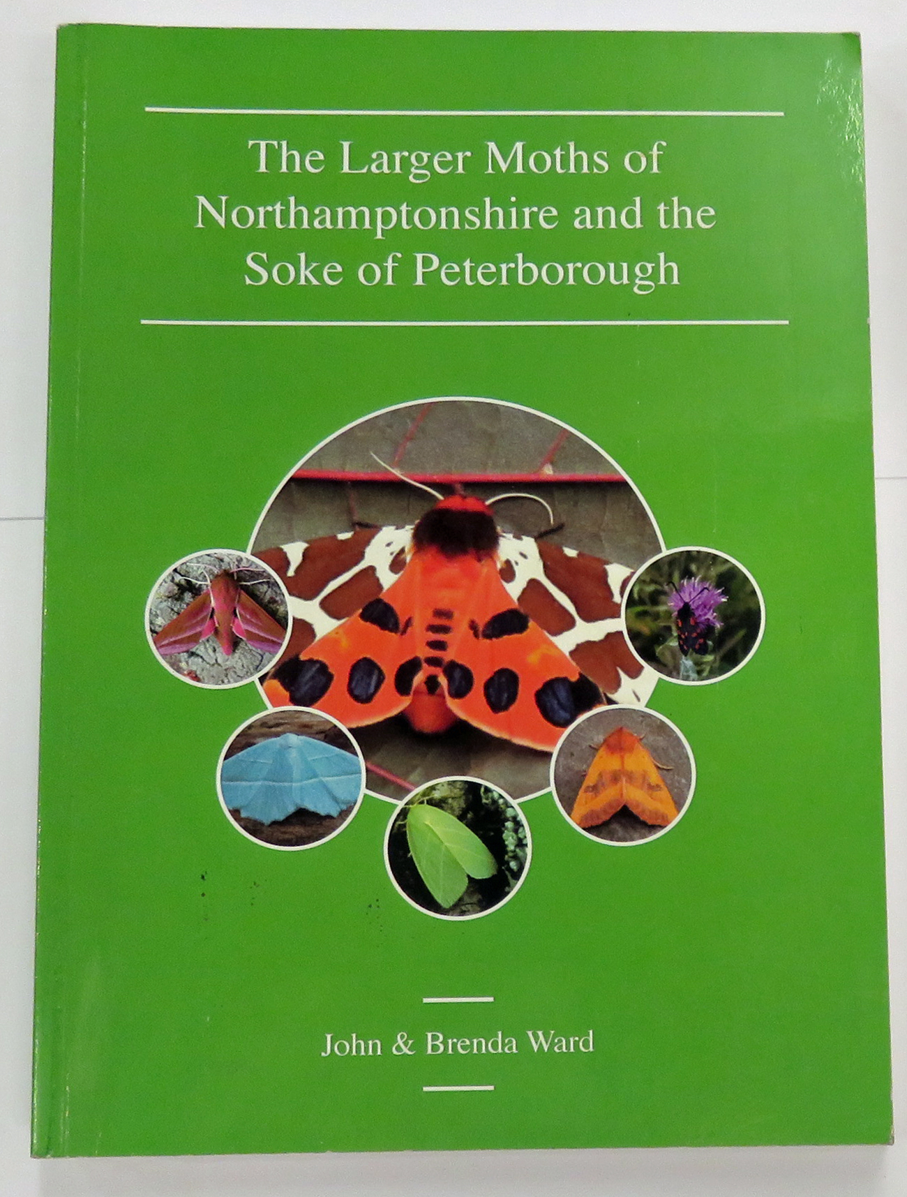 The Larger Moths of Northamptonshire and the Soke of Peterborough 