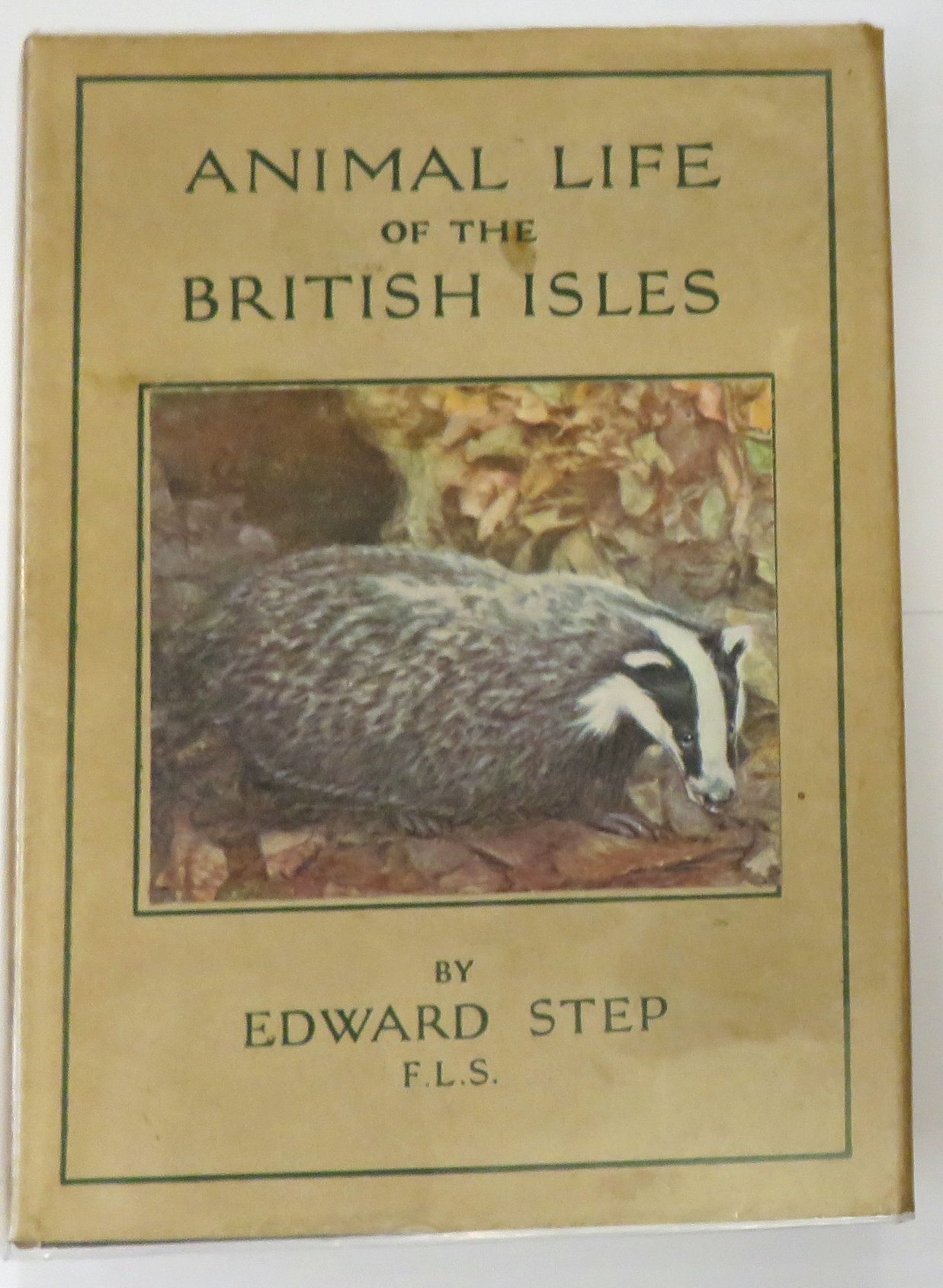 The Wayside And Woodland Series Animal Life Of The British Isles 