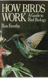 How Birds Work: A Guide to Bird Biology