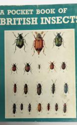 A Pocket Books Of Insects