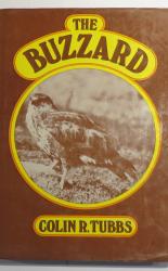 The Buzzard 
