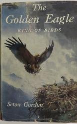 The Golden Eagle: King of Brids