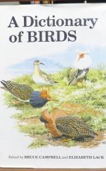 A Dictionary Of Birds 