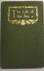 The Life Of The Bee 