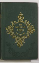 The British Ferns
