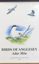 Birds Of Anglesey Adar Mon 