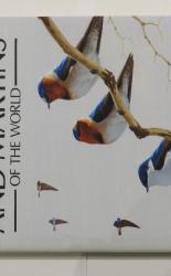 A Handbook to the Swallows And Martins of the World